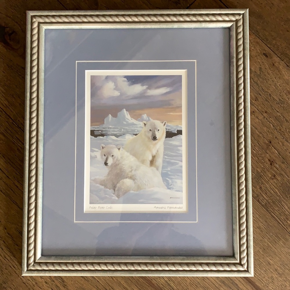 Polar bear picture